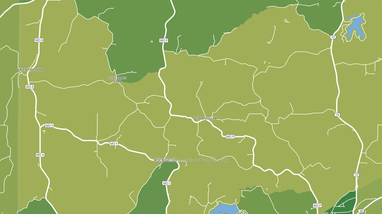 Old Woollam, MO block-group voter-turnout map