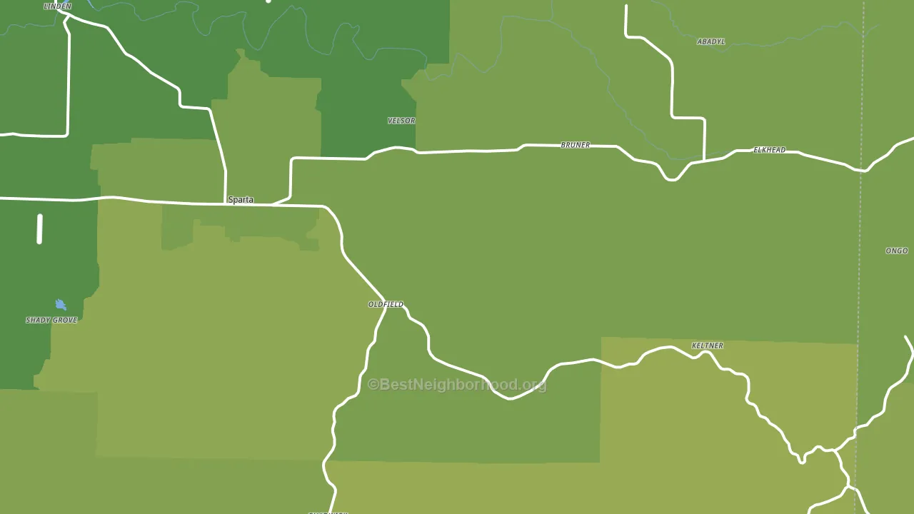 Oldfield, MO block-group voter-turnout map