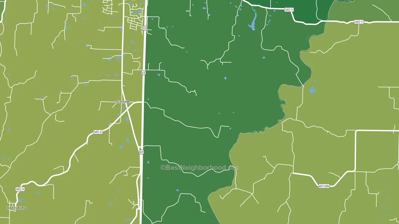 Oldham, MO block-group voter-turnout map