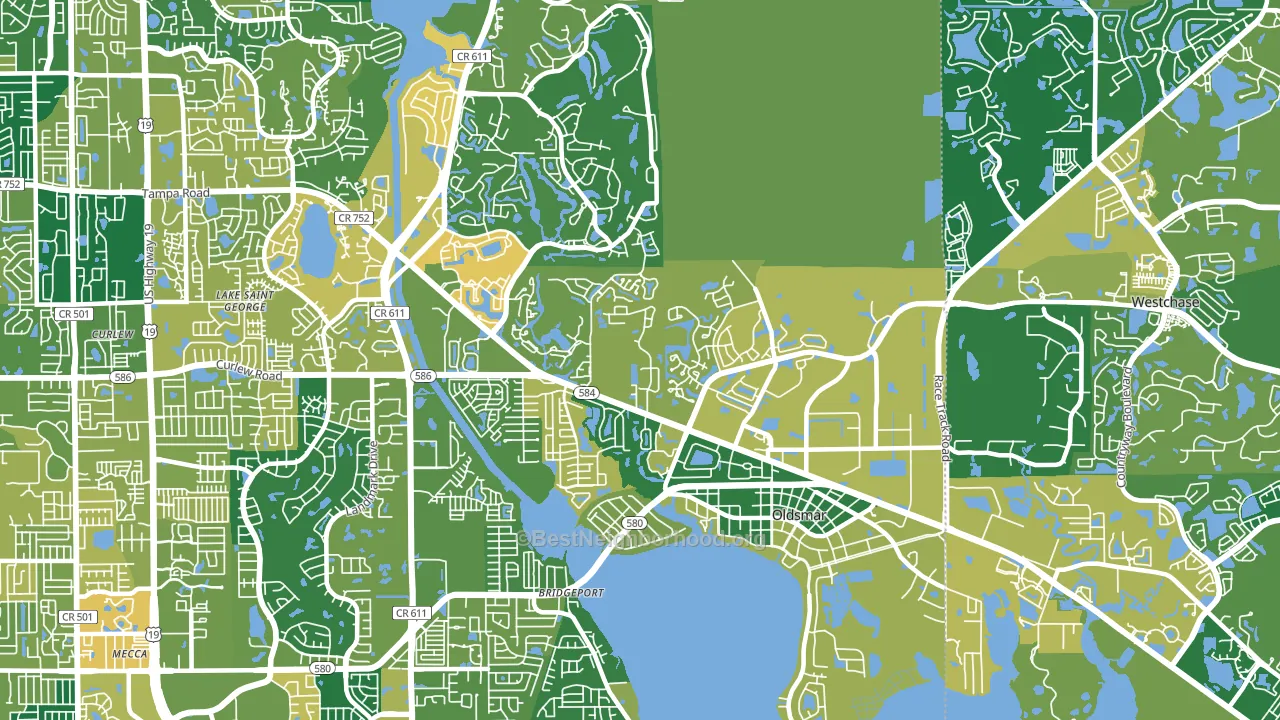 Oldsmar, FL block-group voter-turnout map