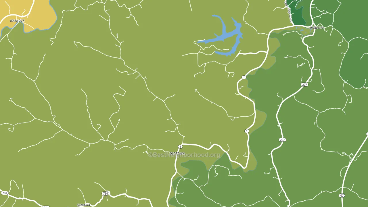 Oldtown, KY block-group voter-turnout map