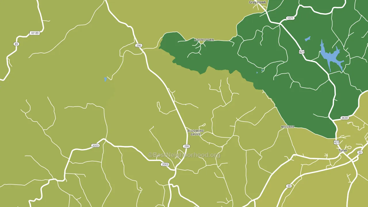 Olin, KY block-group voter-turnout map