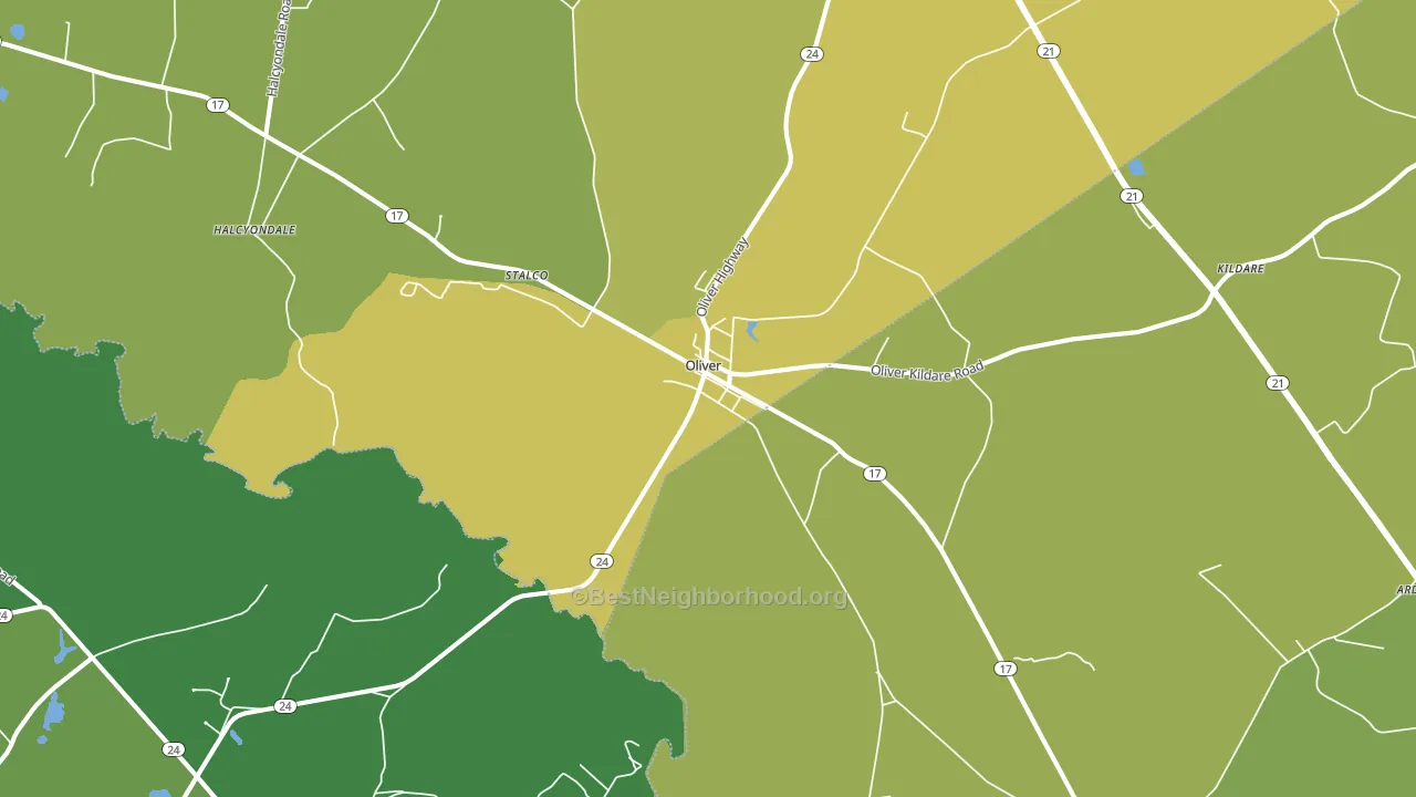 Oliver, GA block-group voter-turnout map