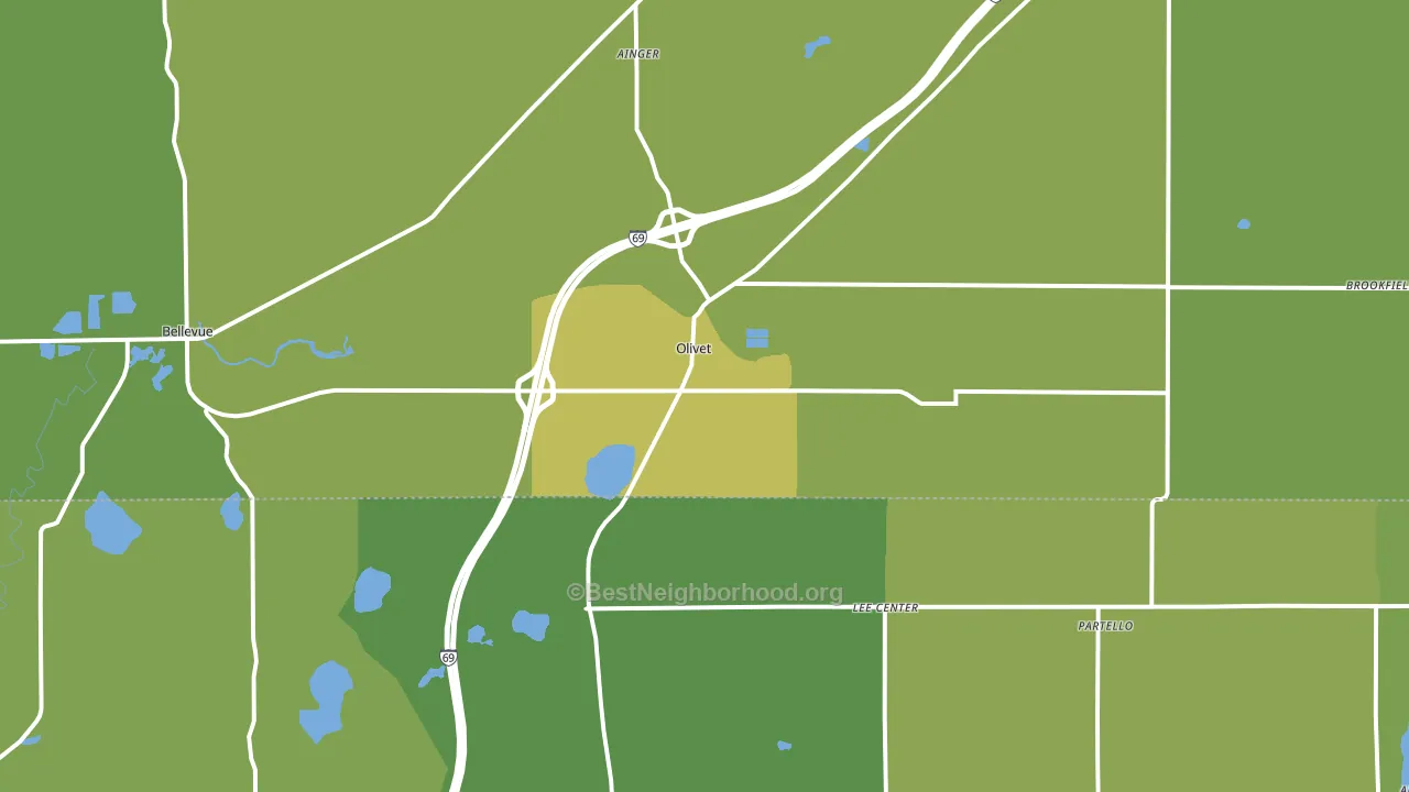 Olivet, MI block-group voter-turnout map