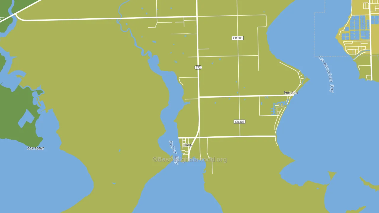 Olivia, TX block-group voter-turnout map