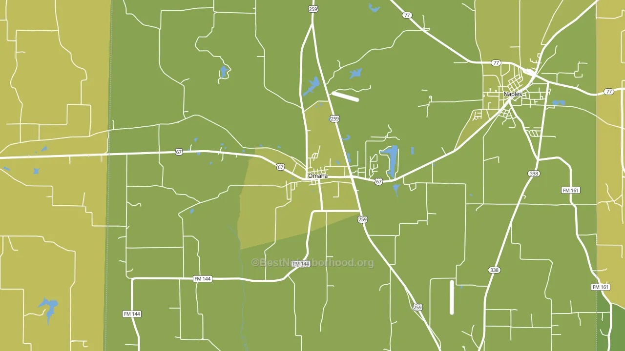 Omaha, TX block-group voter-turnout map
