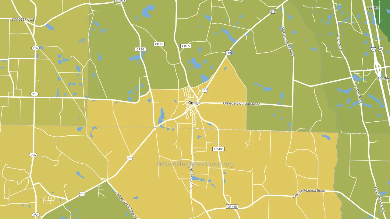 Omega, GA block-group voter-turnout map