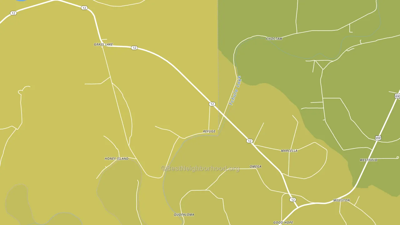 Omega, MS block-group voter-turnout map
