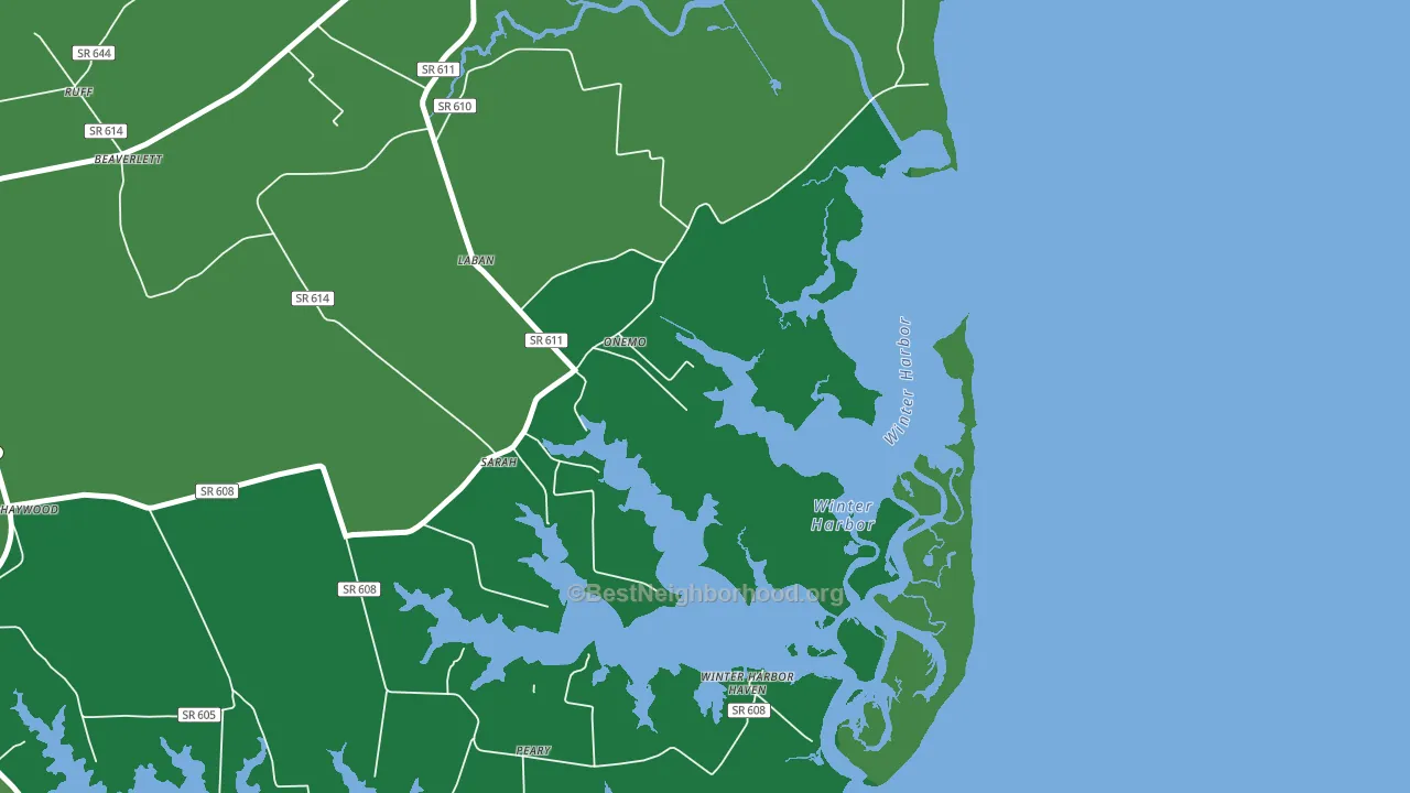 Onemo, VA block-group voter-turnout map