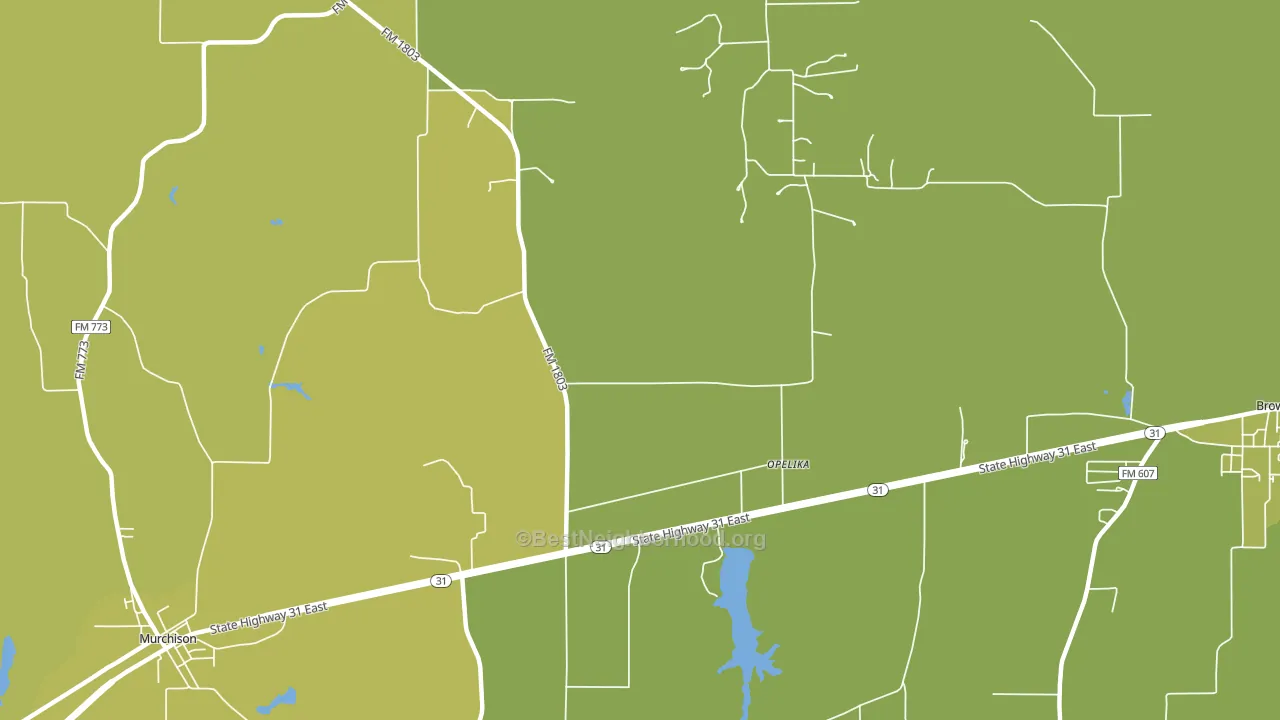 Opelika, TX block-group voter-turnout map