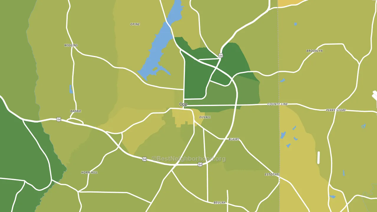 Opp, AL block-group voter-turnout map