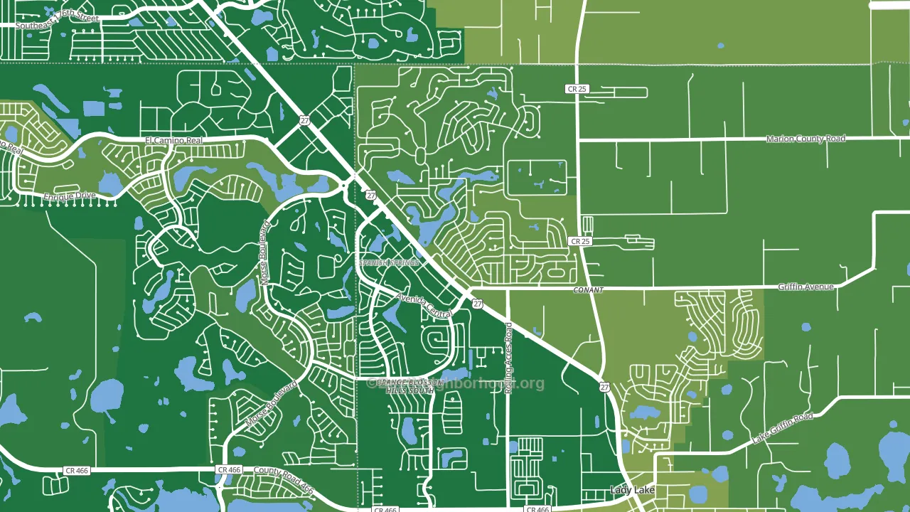Orange Blossom Gardens, Lady Lake, FL block-group voter-turnout map