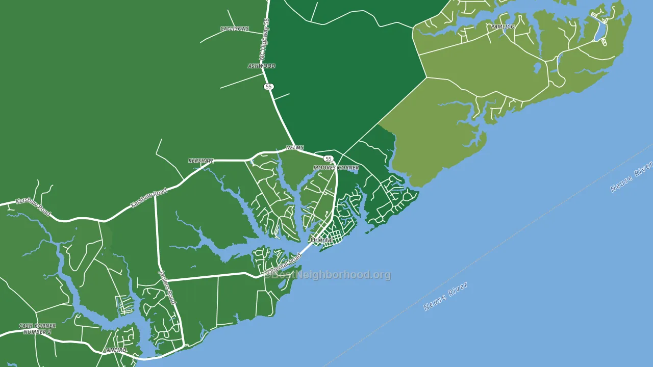 Oriental, NC block-group voter-turnout map