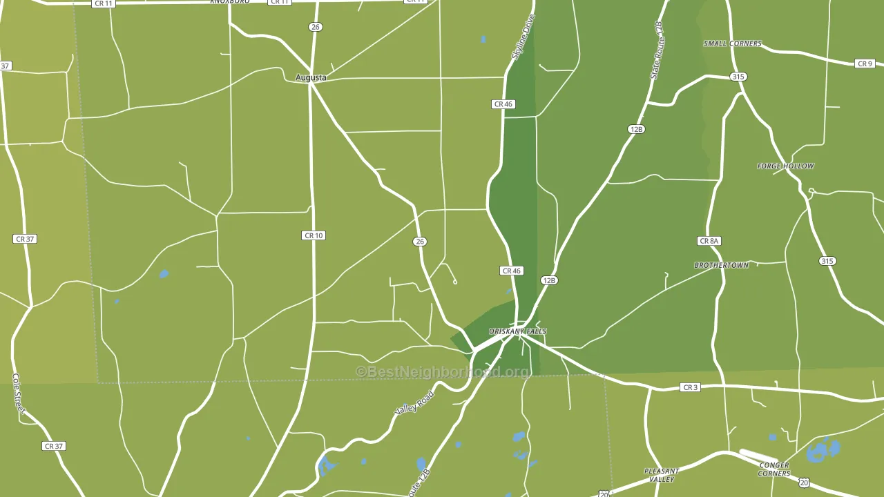 Oriskany Falls, NY block-group voter-turnout map