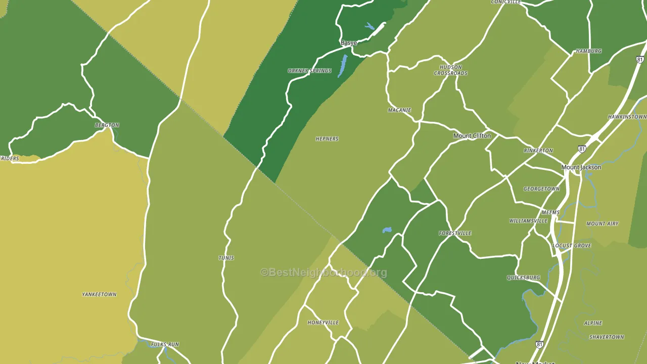 Orkney Springs, VA block-group voter-turnout map
