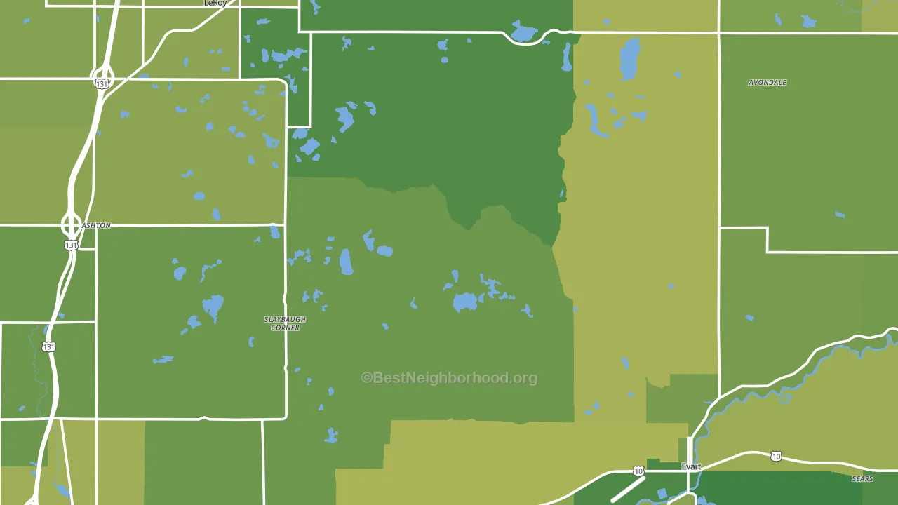 Osceola County, MI block-group voter-turnout map