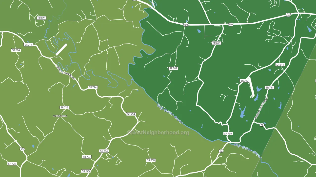 Otter Hill, VA block-group voter-turnout map