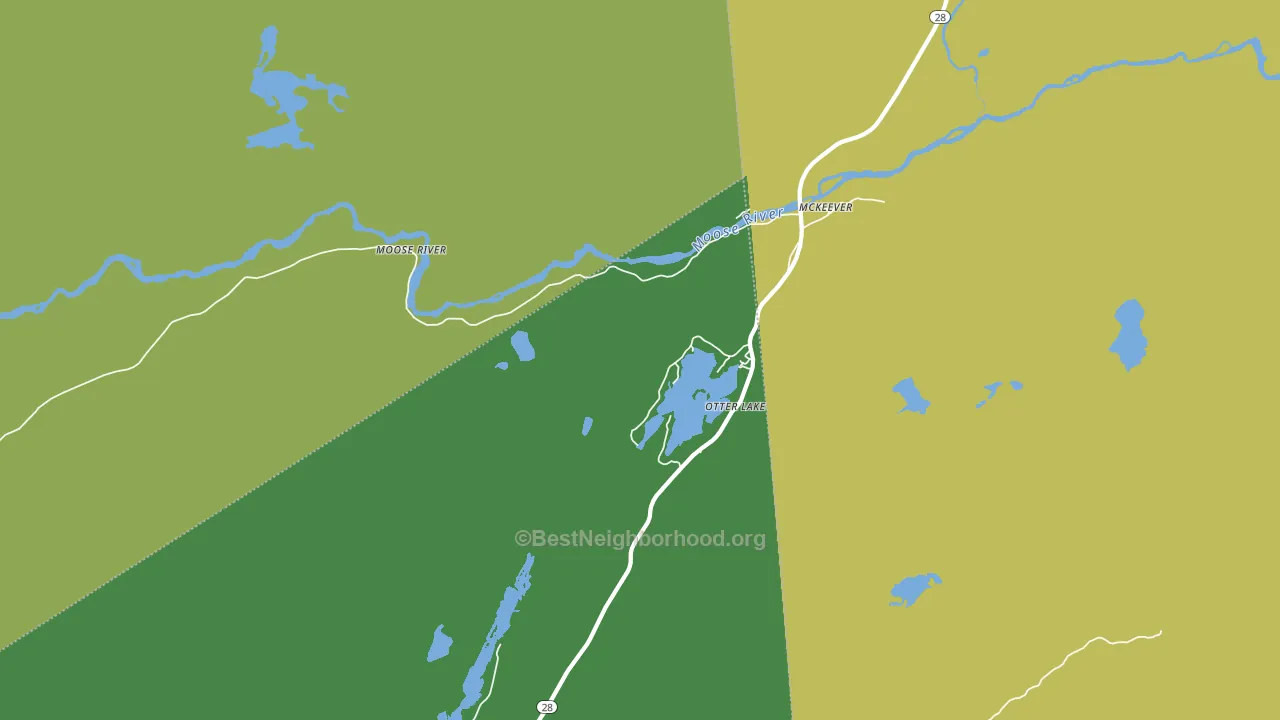Otter Lake, NY block-group voter-turnout map