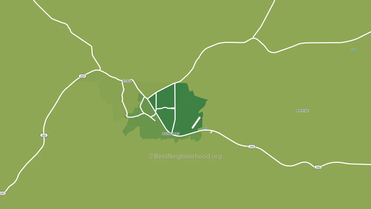 Overgaard, AZ block-group voter-turnout map