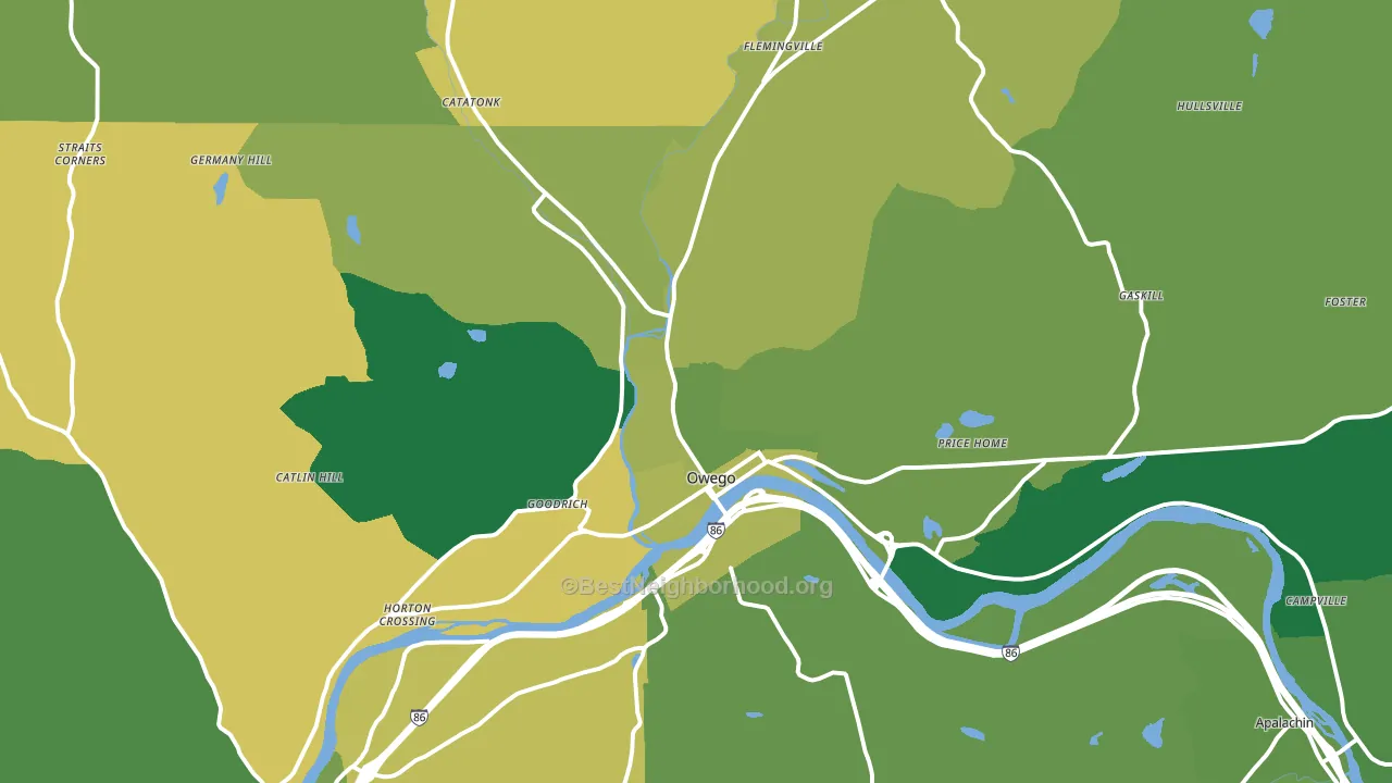 Owego, NY block-group voter-turnout map