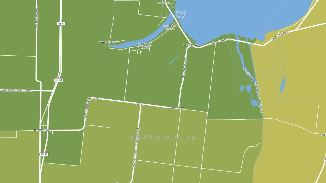 Owl City, TN block-group voter-turnout map