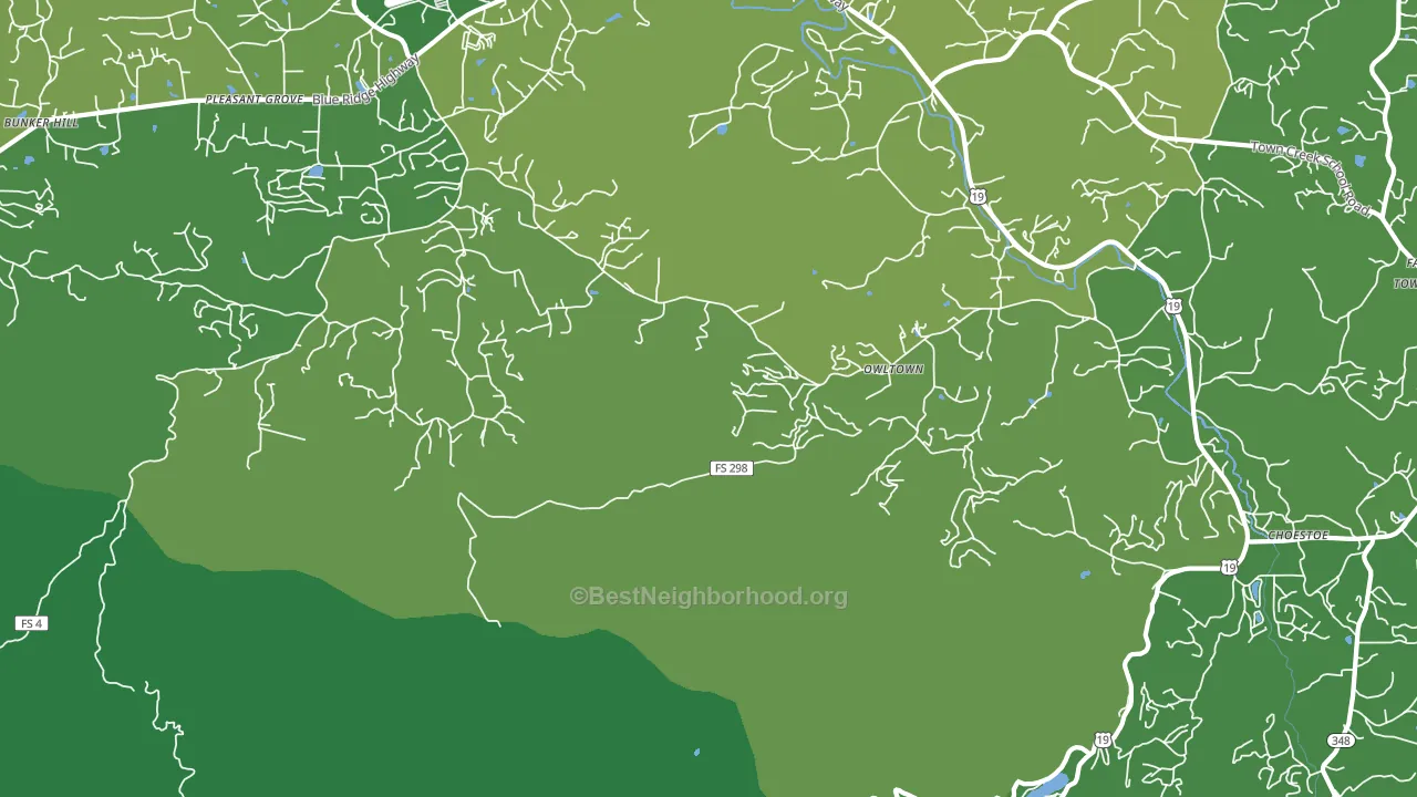 Owltown, GA block-group voter-turnout map