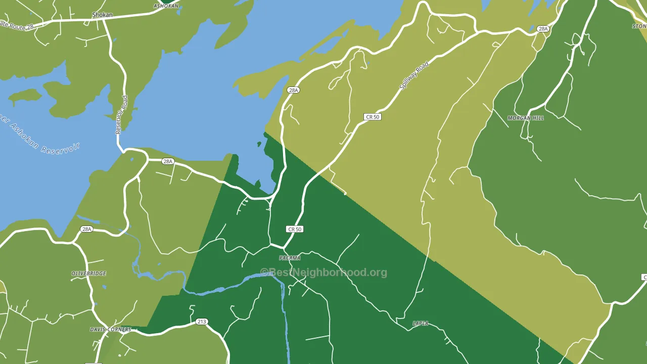 Pacama, NY block-group voter-turnout map
