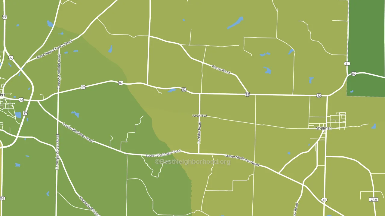Pachitla, GA block-group voter-turnout map