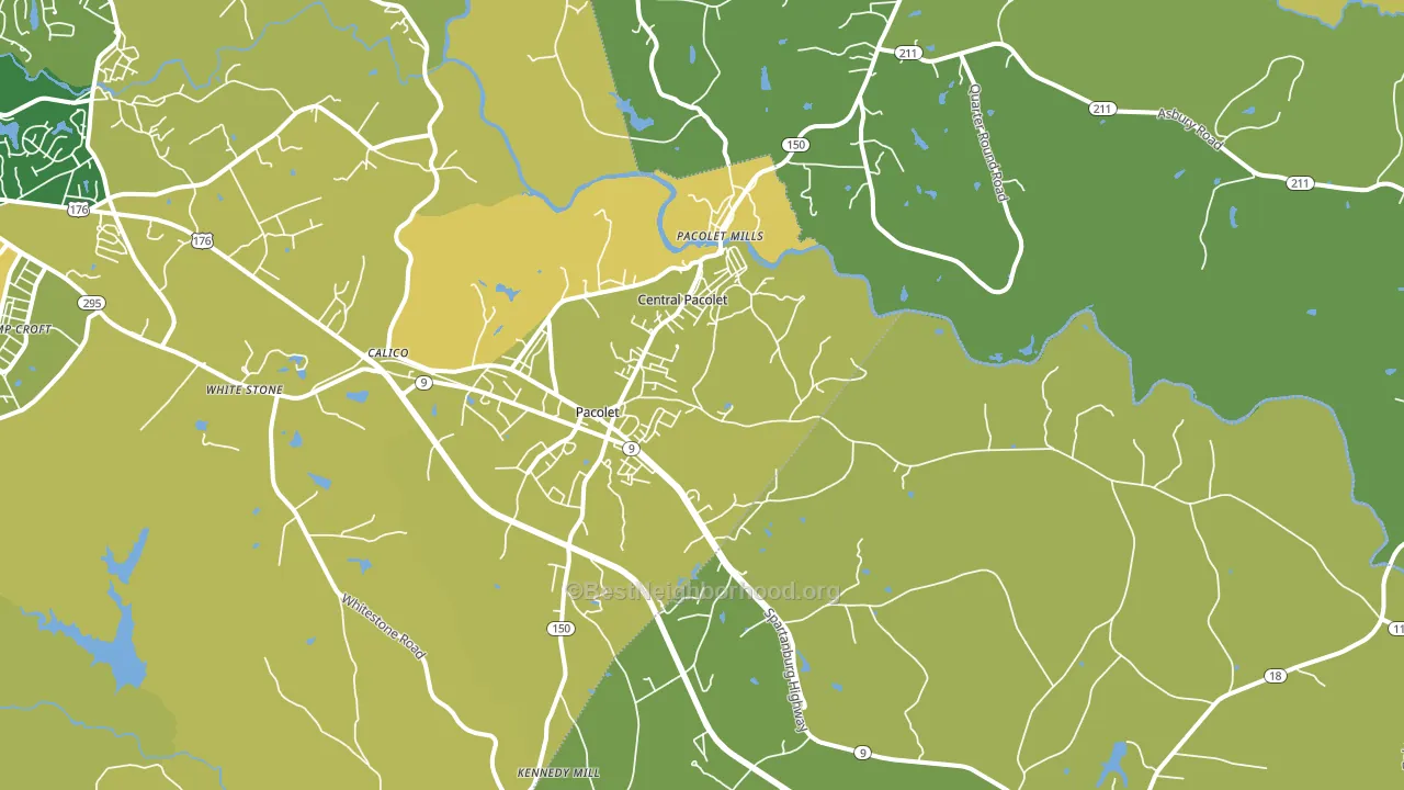 Pacolet, SC block-group voter-turnout map