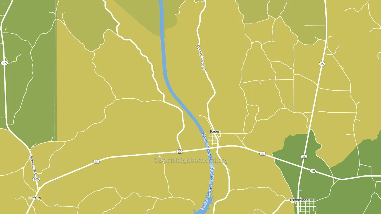 Paden, MS block-group voter-turnout map