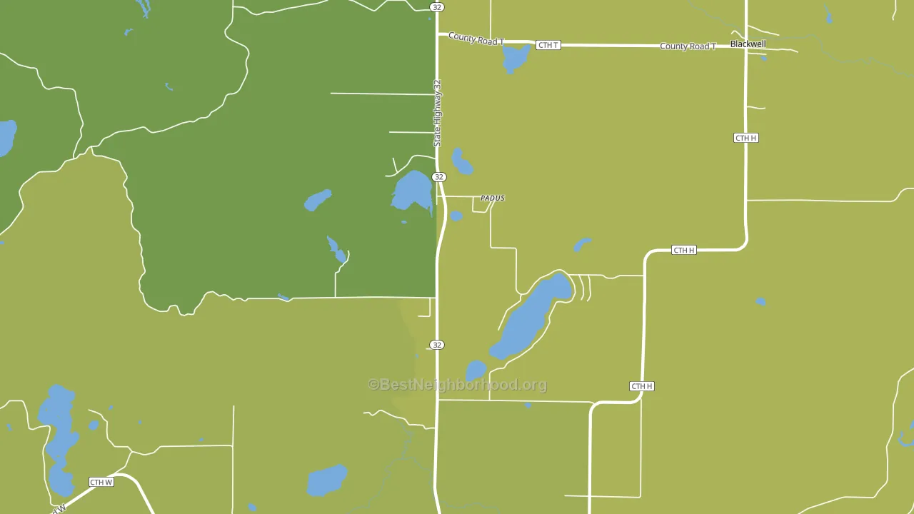 Padus, WI block-group voter-turnout map