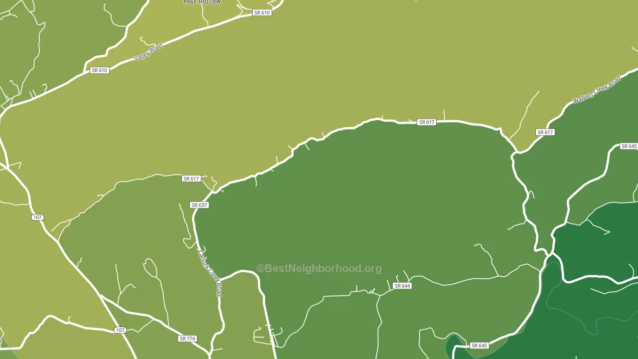 Page Hollow, VA block-group voter-turnout map