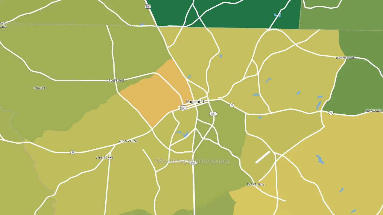 Pageland, SC block-group voter-turnout map