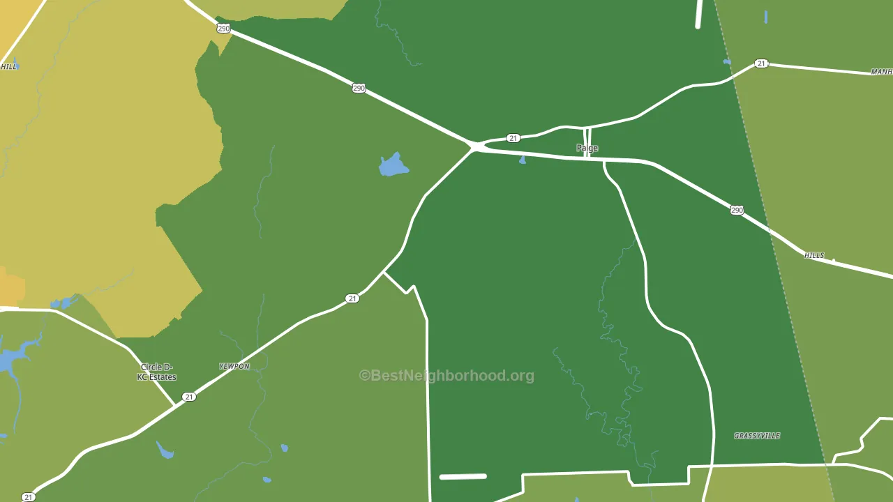 Paige, TX block-group voter-turnout map