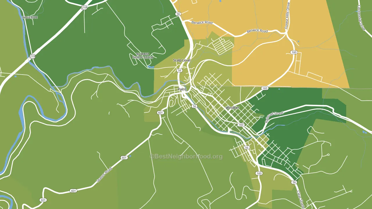Paint, PA block-group voter-turnout map