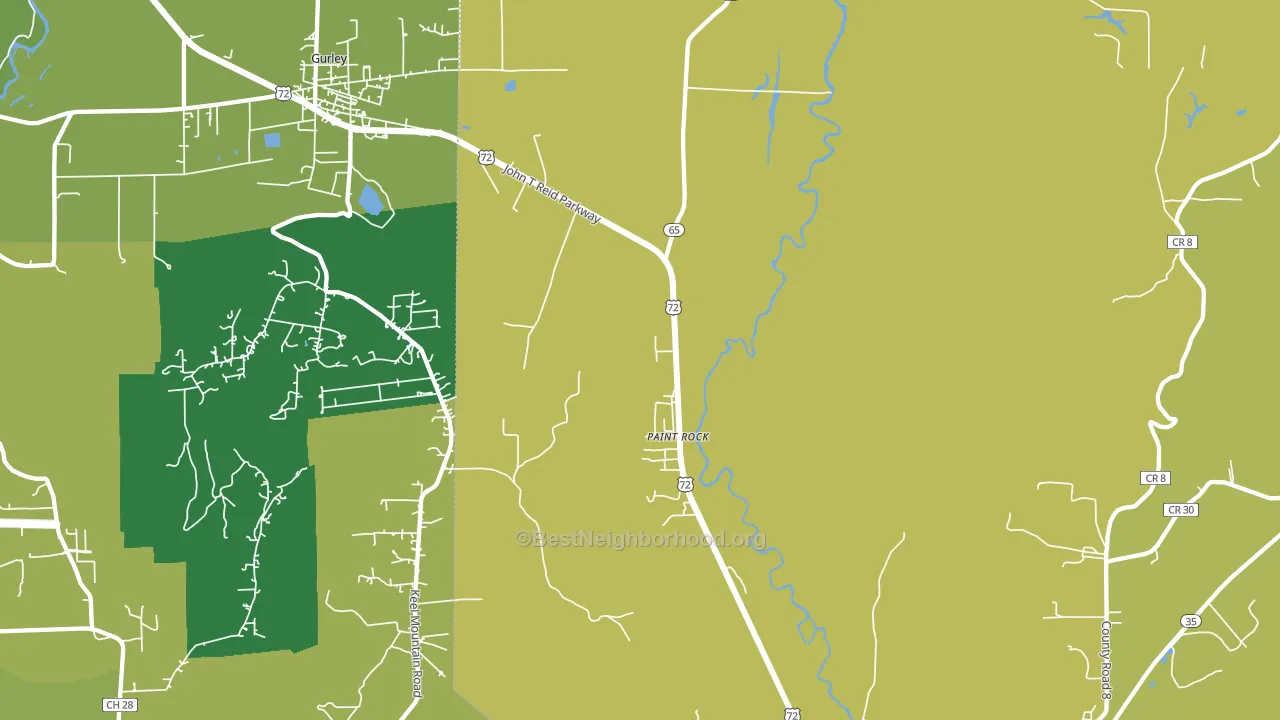 Paint Rock, AL block-group voter-turnout map