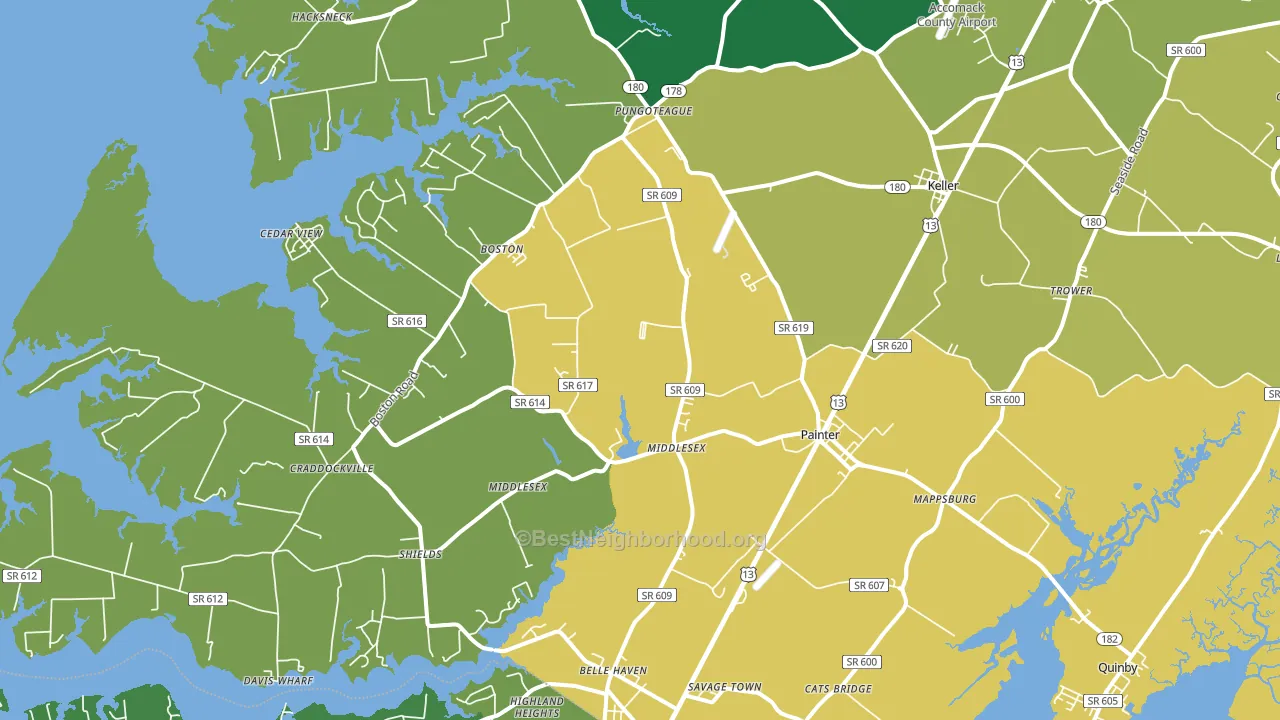 Painter, VA block-group voter-turnout map