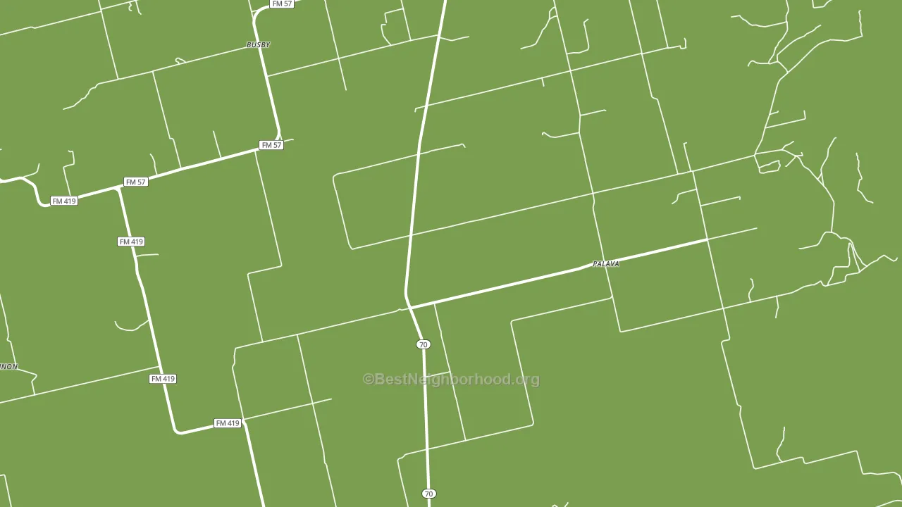 Palava, TX block-group voter-turnout map