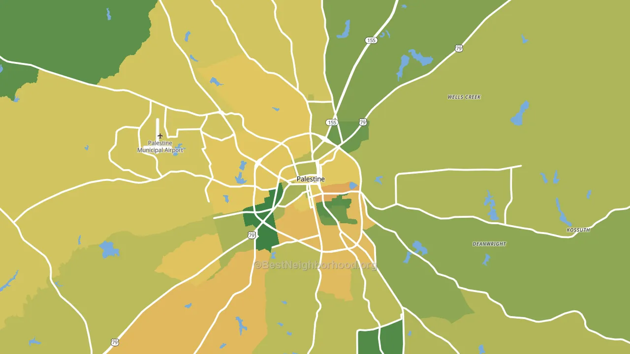 Palestine, TX block-group voter-turnout map
