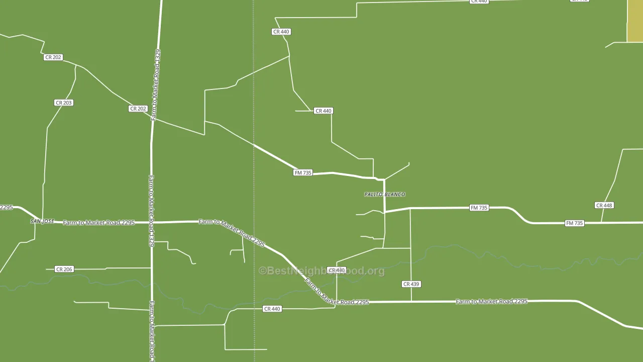 Palito Blanco, TX block-group voter-turnout map