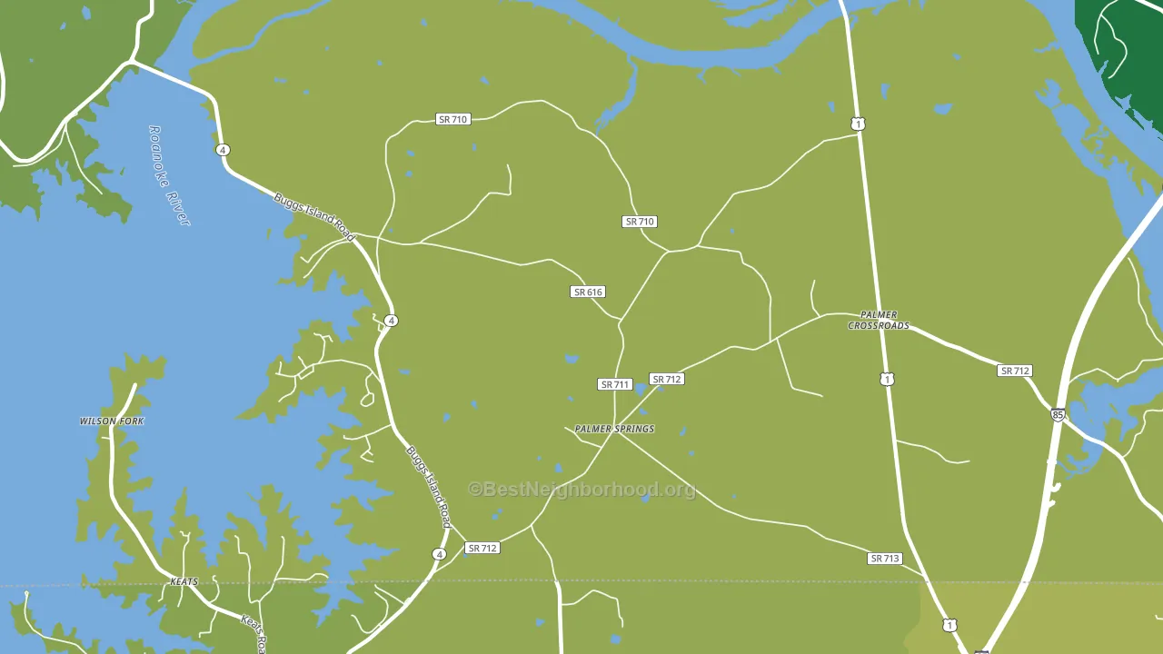 Palmer Springs, VA block-group voter-turnout map