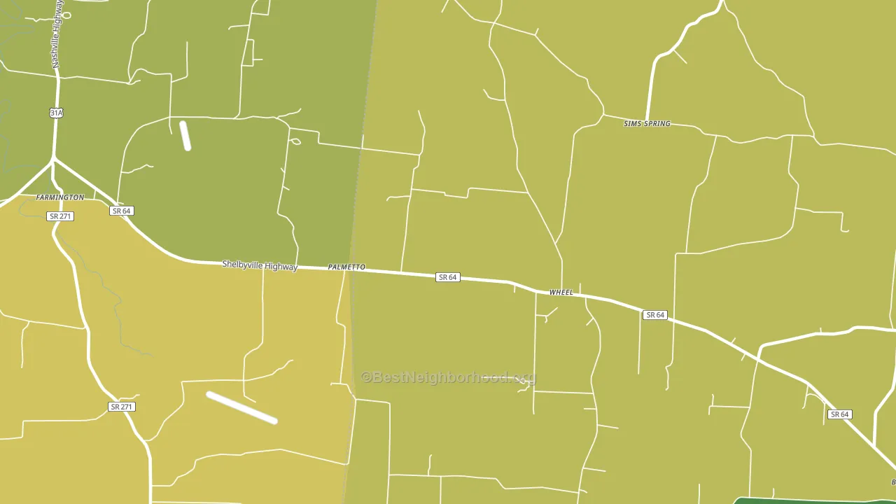 Palmetto, TN block-group voter-turnout map