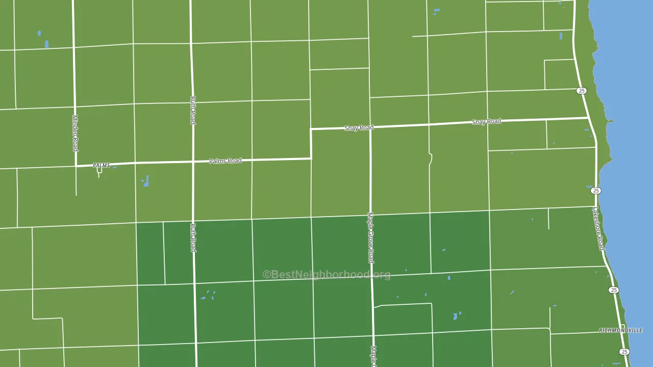 Palms, MI block-group voter-turnout map