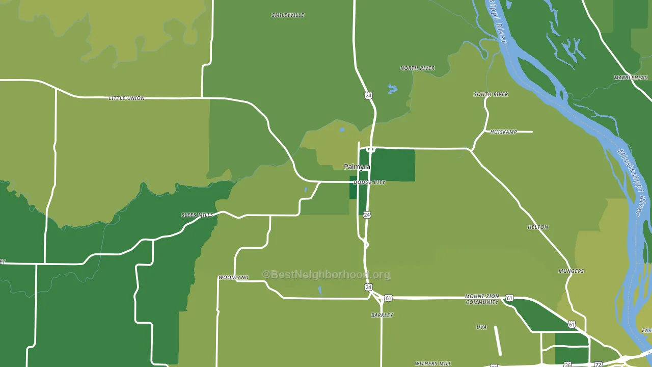 Palmyra, MO block-group voter-turnout map