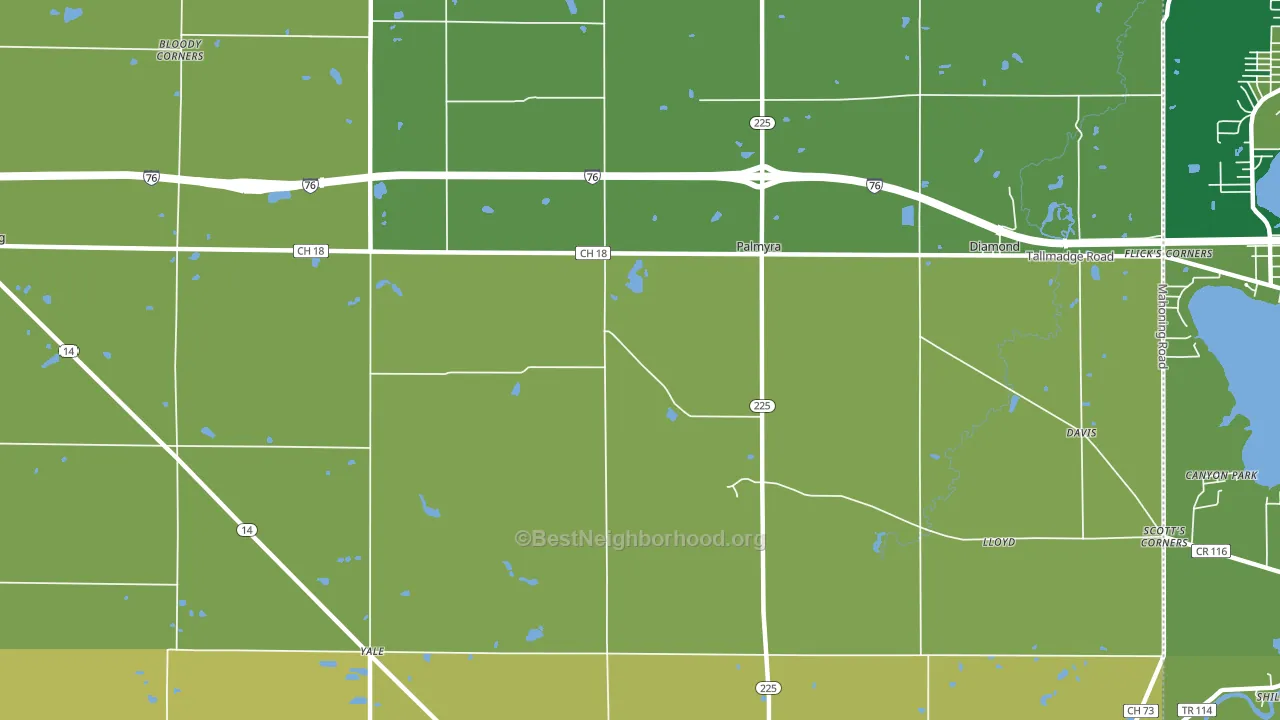 Palmyra, OH block-group voter-turnout map