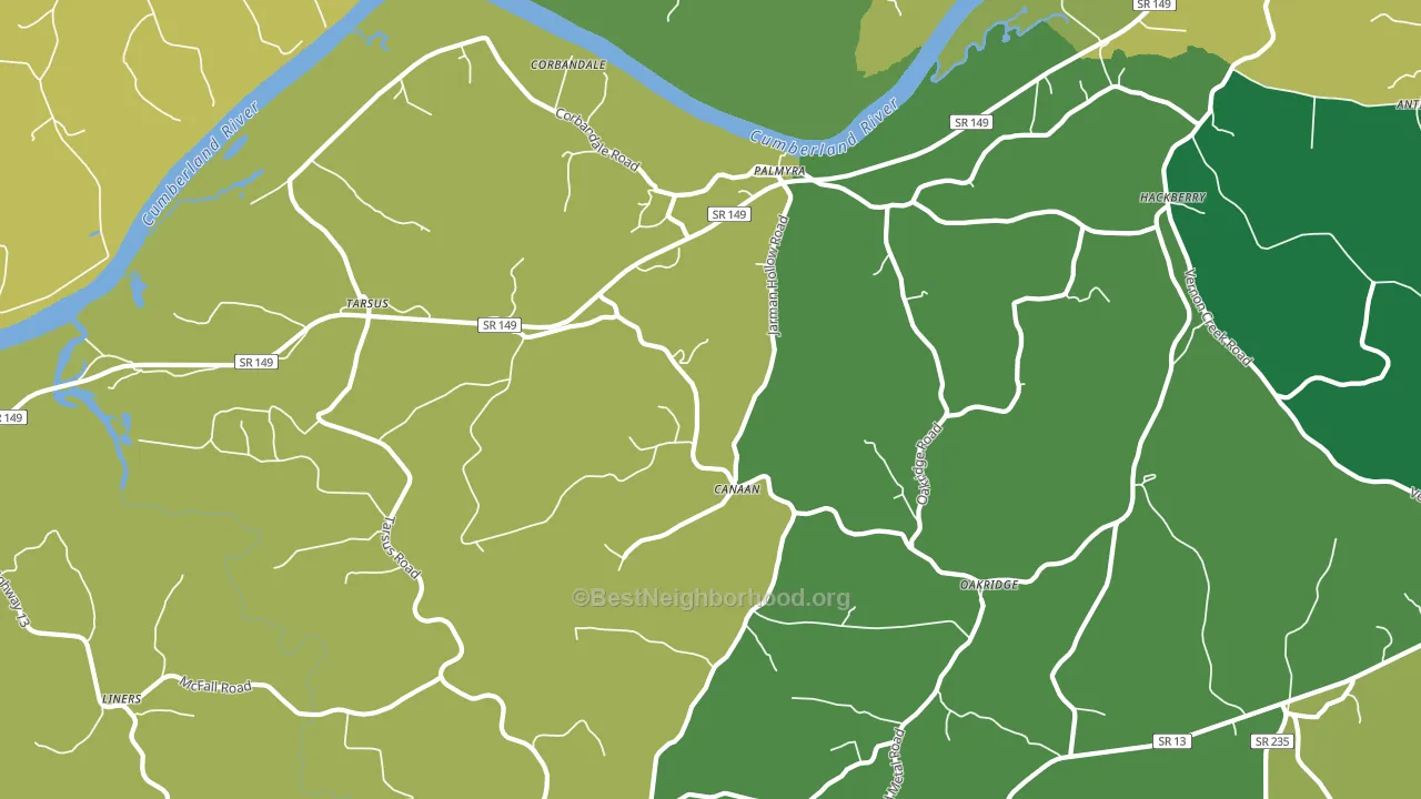 Palmyra, TN block-group voter-turnout map