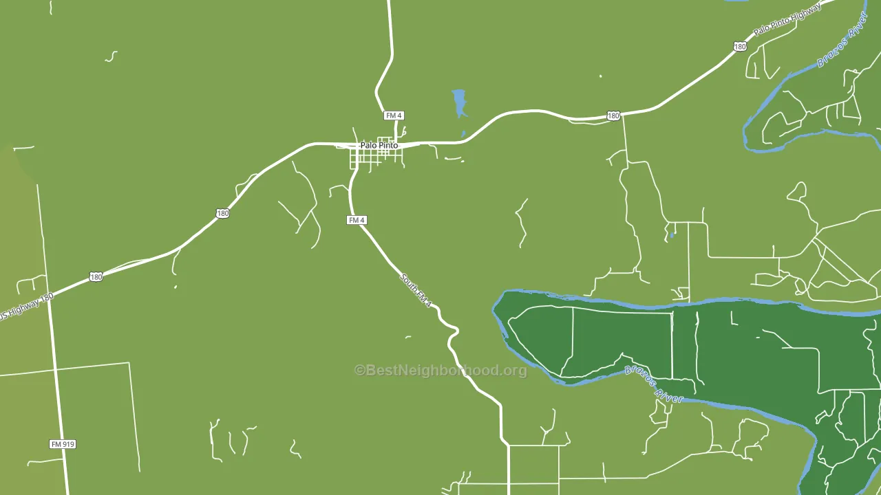 Palo Pinto, TX block-group voter-turnout map