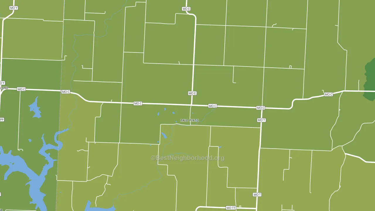 Palopinto, MO block-group voter-turnout map