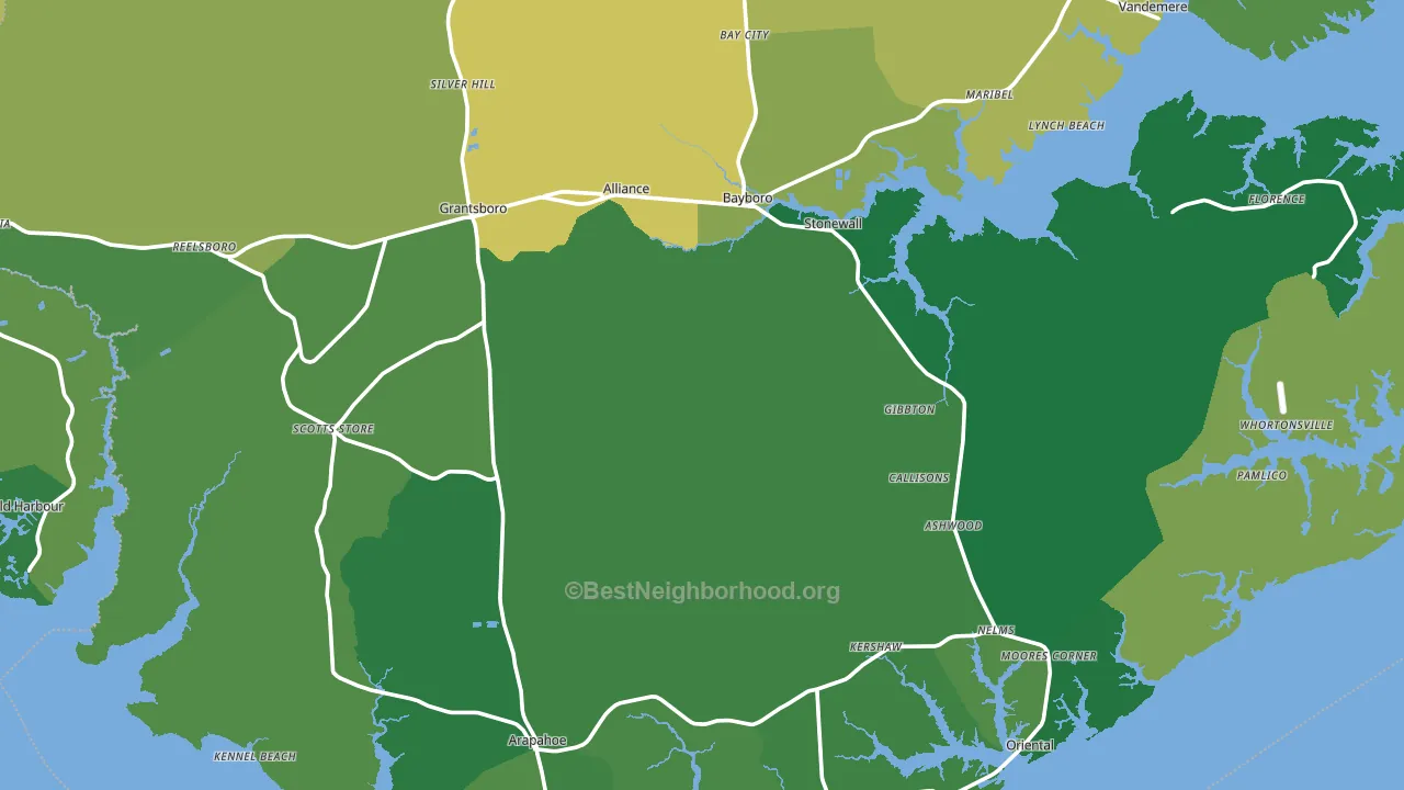 Pamlico County, NC block-group voter-turnout map