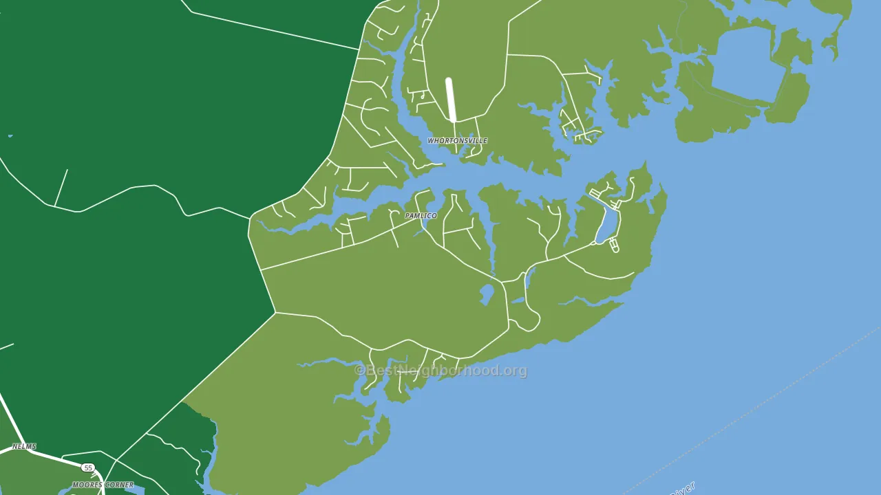 Pamlico, NC block-group voter-turnout map